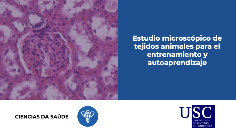Estudio microscópico de tejidos animales para el entrenamiento y autoaprendizaje